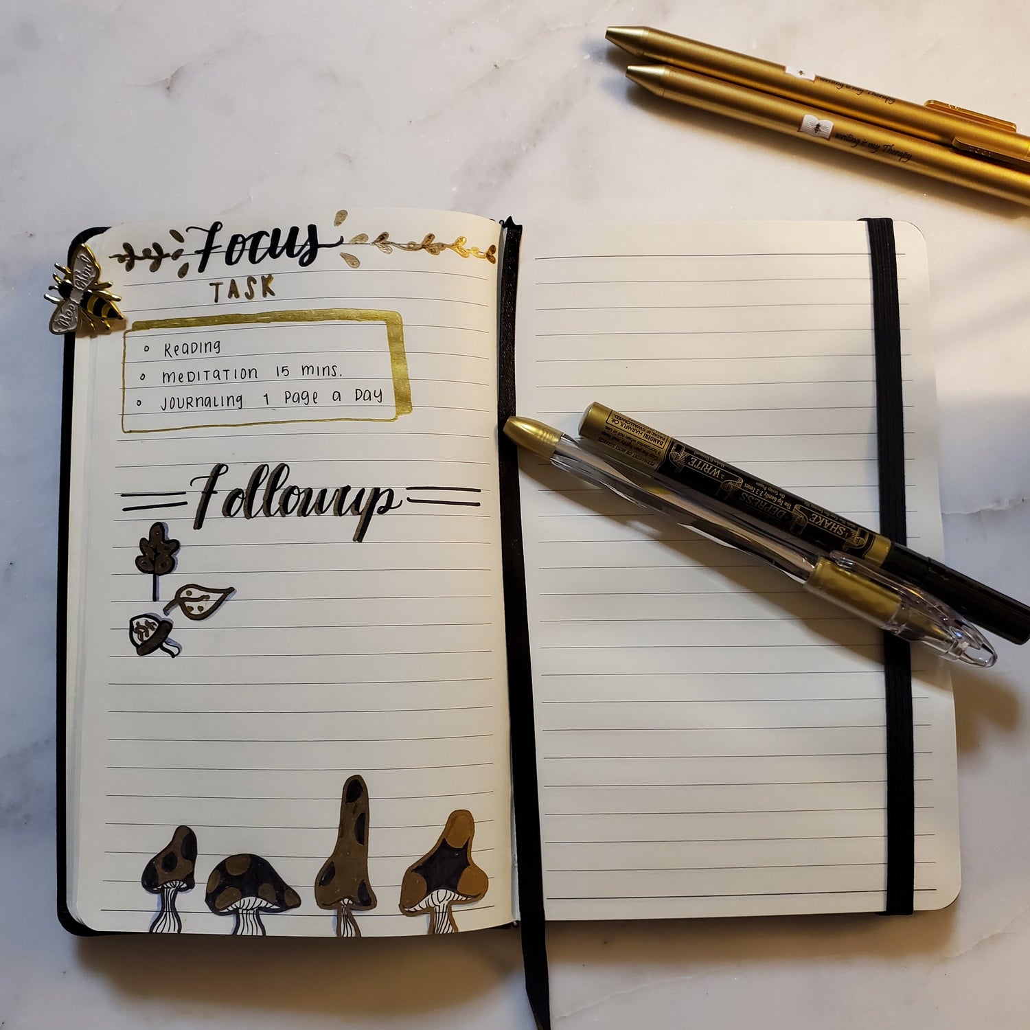 Black & Gold Journal